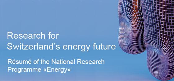 The picture shows the title page of the program résumé.