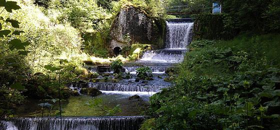 The picture shows the residual flow section below the catchment of an historic small hydroelectric power station in Romandy.