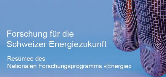 Das Bild zeigt die Titelseite des Programmresümees.